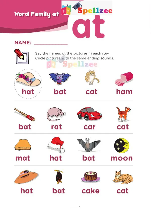 Preview of the Spellzee Word Family: at worksheet